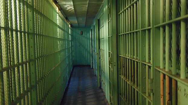 «Лига ветеранов локальных конфликтов и войн» попросила допустить своего адвоката к Алексею Москалеву