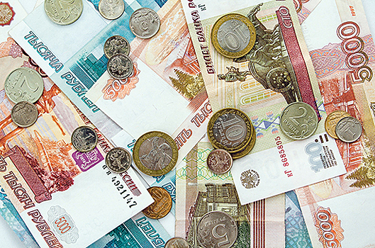 СО РАН скорректирует предложения Минобрнауки по оплате труда после жалоб на зарплаты