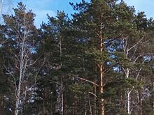 Анонсы событий и мероприятий на 11 августа