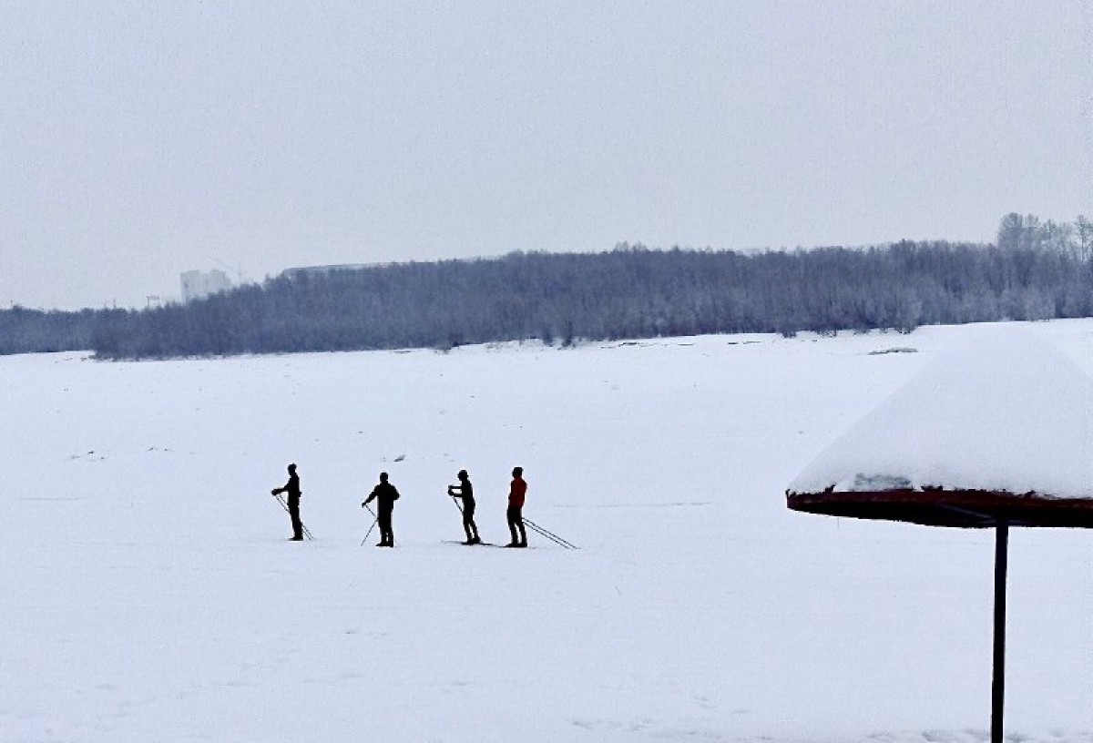Омские власти планируют довести до 70% число жителей, занимающихся спортом: что для этого будут делать