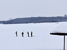 Омские власти планируют довести до 70% число жителей, занимающихся спортом: что для этого будут делать