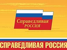 Депутат «Справедливой России» решил поработать в думе Самарской области бесплатно