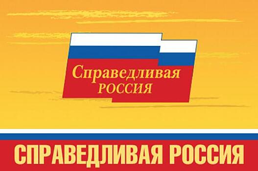 Депутат «Справедливой России» решил поработать в думе Самарской области бесплатно