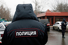 Российский адвокат покусал полицейского и пойдет под суд