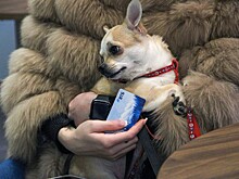 ВТБ запустил переводы по номеру телефона в Азербайджан