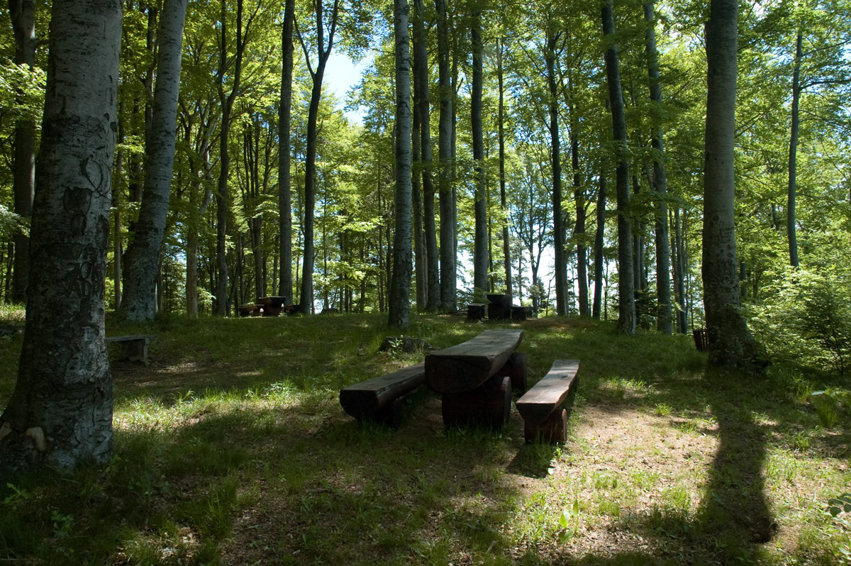 Парк Медведница, Хорватия, Европа