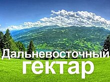 В Хабаровском крае почти 13 тысяч участков выделены "гектарщикам"