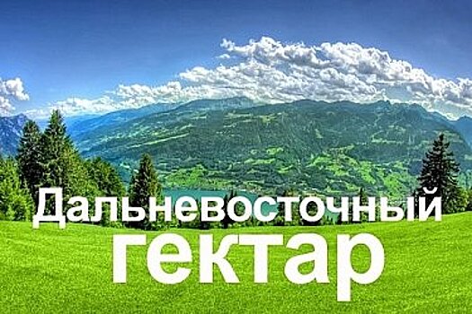 В Хабаровском крае почти 13 тысяч участков выделены "гектарщикам"