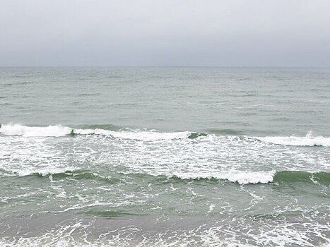 В МИД РФ заявили о разведдеятельности НАТО на Балтике и в Черном море