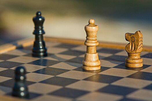 Во дворце творчества на Шкулева в дни каникул школьники поиграют в шахматы и обучатся творчеству