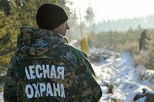 Библиотекари и лесничие: профессий для альтернативной службы станет больше