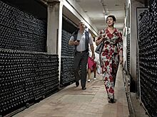 Дегустации и "винные дороги": Кубань делает ставку на аграрный туризм