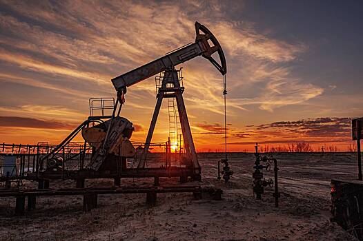ОПЕК опровергла обвалившее стоимость нефти сообщение