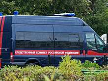 Тетю избитой в Ингушетии девочки задержали