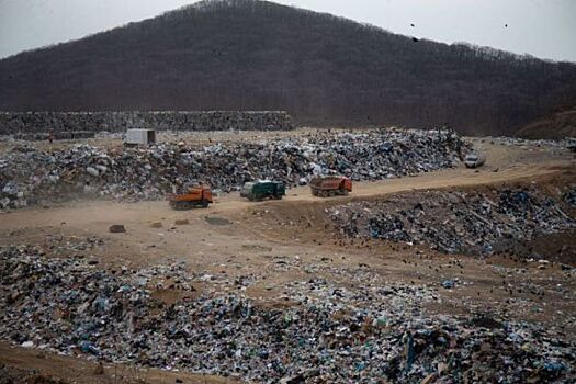 Госдума рекомендовала частично возвращать гражданам оплату за вывоз мусора