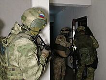 55 кг наркотиков изъяли в ходе операции ФСБ