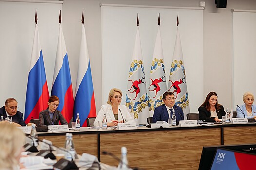 Нижегородская область представила меры по улучшению демографии