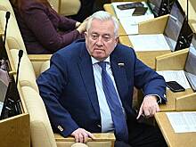 В Госдуме назвали заявление Киева об ударах по России «методами фашистов»
