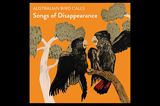 Альбом с пением исчезающих птиц покорил музыкальные чарты