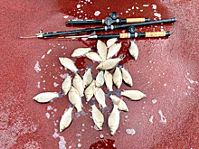 Курганский депутат ГД Ильтяков похвастался собственным уловом