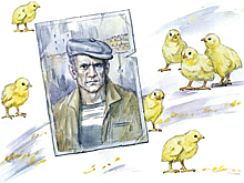 Красная тайна. Тысяча цыплят