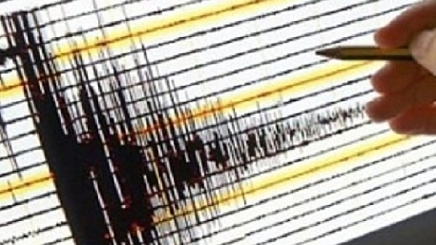 У берегов Новой Зеландии произошло землетрясение магнитудой 6,2