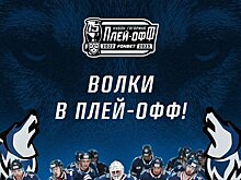 Нижнекамский "Нефтехимик" на своем льду разгромил ХК "Куньлунь Ред Стар" и вышел в плей-офф