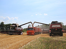 Держатся вместе: как построена работа крупного агрохолдинга Самарской области