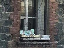 Малыш на карнизе дома встревожил бдительных жителей Владивостока.