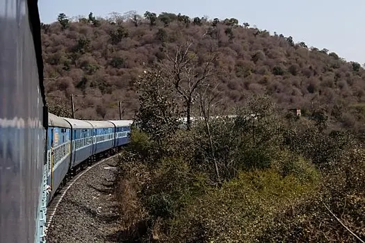 Названы самые популярные железнодорожные направления этого лета у россиян