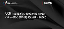 ООН прервала заседание из-за сильного землетрясения - видео