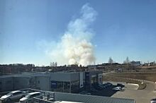 Сезон опасностей. Ярославской области угрожают пожары из-за пала травы