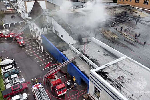 МЧС: локализован пожар на площади 2,5 тыс. кв. м в подмосковном Пушкино