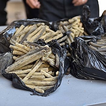 На Украине за год изъяли несколько тонн наркотиков на сумму более $830 млн