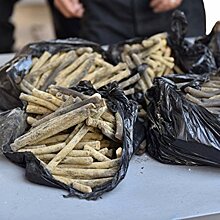 На Украине за год изъяли несколько тонн наркотиков на сумму более $830 млн