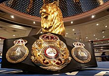 WBA объявила о создании категории между первым тяжелым и тяжелым весом