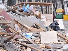 Более 6 тыс. кв. м земли освободили от самостроя в пос. Ватутинки в ТиНАО