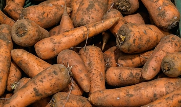 Волгоградскую область покинули свыше 220 тонн моркови