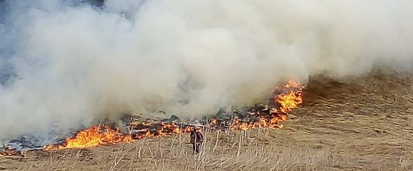 23 ландшафтных пожара зарегистрировали в Удмуртии 1 мая