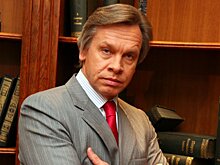Пушков прокомментировал предложение отправлять беженцев из ЕС в Грузию