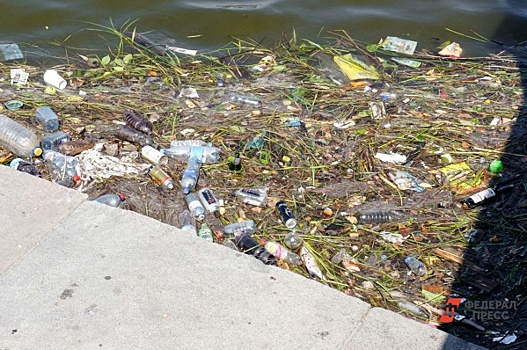 По реке Ишим несет трупы животных и мусор