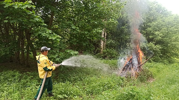Сергиево‑Посадские лесничие приняли участие в учениях по тушению лесных пожаров