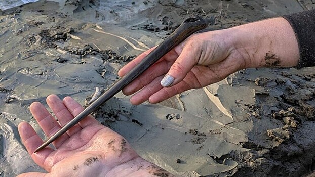 В Швеции обнаружили собаку каменного века с костяным кинжалом