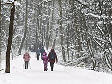 Январь в столице стал третьим в списке самых влажных в XXI веке