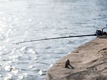 Ловить судака и тарань запретили в Азовском море