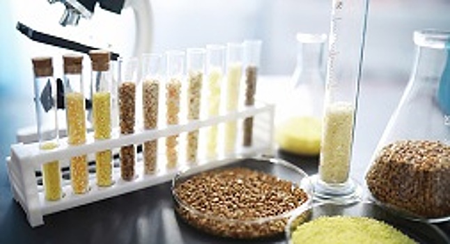 В Ростовской области подтверждено качество почти 7 млн т зерна