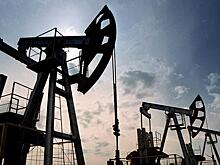 Появление российской нефти в США назвали пощечиной