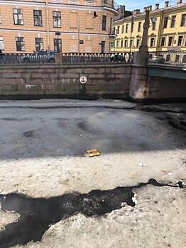 Петербургские студенты спасли натюрморт со льда канала Грибоедова. Видео