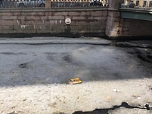 Петербургские студенты спасли натюрморт со льда канала Грибоедова. Видео