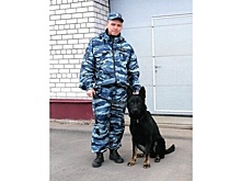 Гай раскрыл кражу детской коляски в Вологде